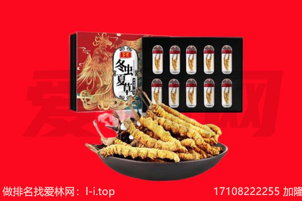 察哈尔右翼中旗回收虫草.jpg