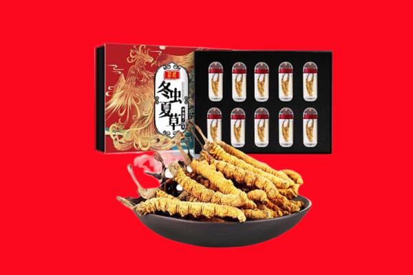 察哈尔右翼中旗回收虫草